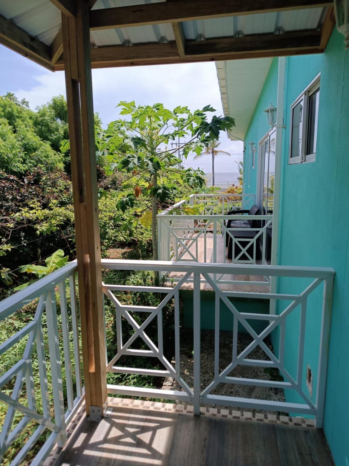 Blue Lizard House Βίλα San Andrés Εξωτερικό φωτογραφία