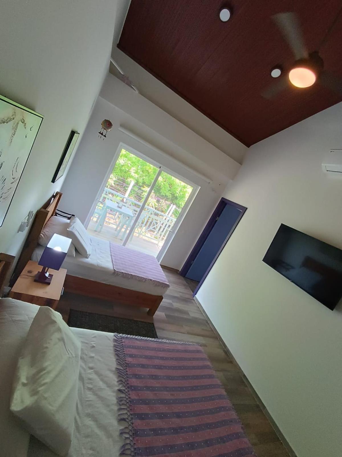 Blue Lizard House Βίλα San Andrés Εξωτερικό φωτογραφία