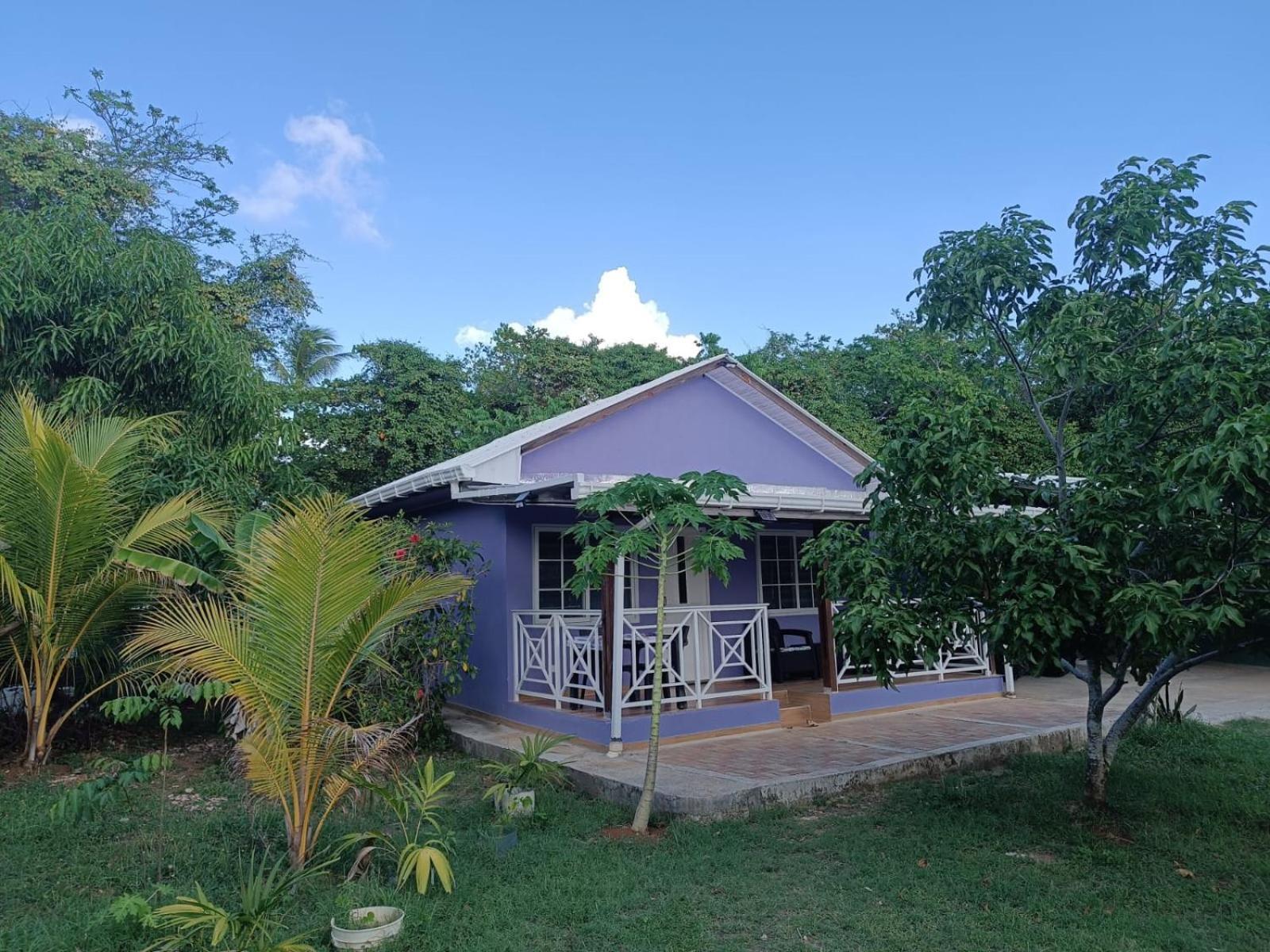 Blue Lizard House Βίλα San Andrés Εξωτερικό φωτογραφία